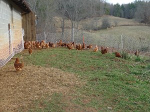 Their first taste of the great outdoors!
