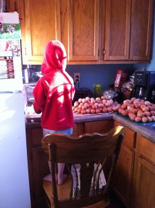 Had lots of helping putting eggs in cartons (someone LOVES doing this)