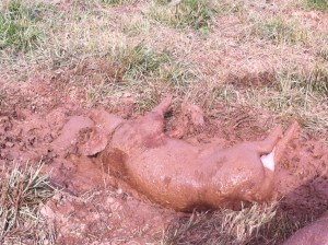 ... to the other, to cover every square inch.